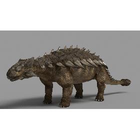 Ankylosaurus 3D model